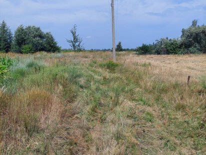 Земля сільськогосподарського призначення Бабинці