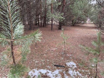 Земельна ділянка. Від 2га. Бабинці. Бабинці