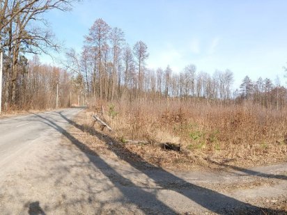 ПРОДАМ ділянку: ліс, річка! Асфальт! Центральна вул! ОБМІН НА АВТО!