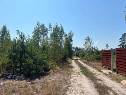 ділянка 15 с  у Клавдієво-Тарасовому в оточенні лісу ID 102