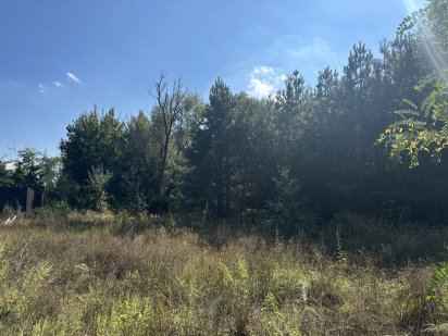 Березівка, ділянка в гарній лісовий місцевості біля КМ Козирна Карта Березовка