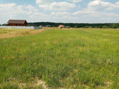 Продам участок 28 соток Блиставиця