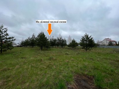 Бобриця-Липовий Скиток продаж ділянки 15 соток в оточенні лісу і озер