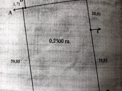 земельный участок (Броварской р-н, с Богдановка, ул. Сливовая) Богданівка