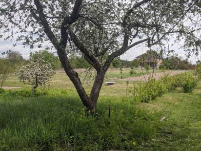 38соток с Бобриця. Бобриця