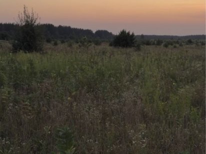 Продам ділянку 9 соток село Бобриця