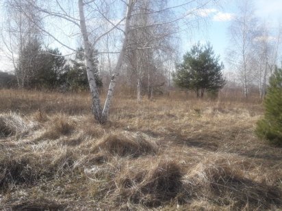 Продам 20 соток СТ Родзинка Богданівка