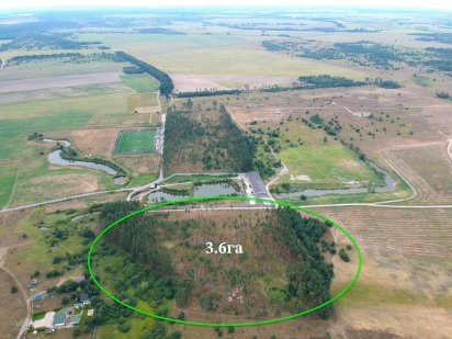 Земельный участок  в сосновом лесу 3.6га под застройку Бузова