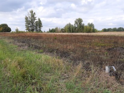 Продам 2 земельні ділянки під будівництво по 6000$ Бузова