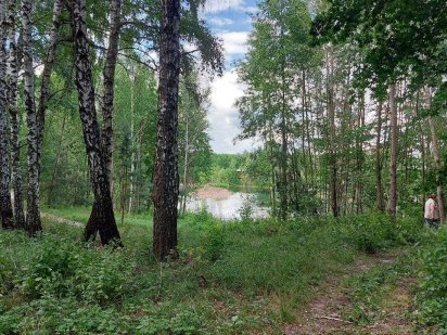 Дача Васильківський район р. Стугна Великая Солтановка