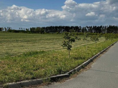 Продам ділянку 5Га, c.Бузова, Київська область