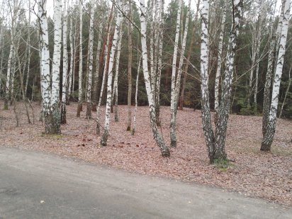 Продам земельну ділянку під забудову в Гаврилівці Бучанського району.