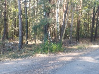 Ділянка під забудову.Можливий обмін на авто.