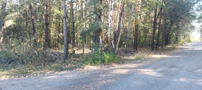 Ділянка під забудову.Можливий обмін на авто. - фото 1