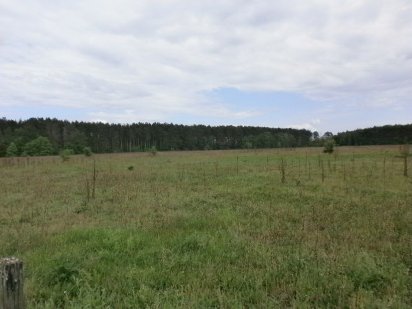 Продам  під забудову 23 сотки Гаврилівка