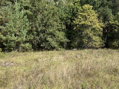 Продаж земельної ділянки 23 соток!