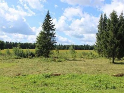 Продаж ділянки 6 га та 14,5 га, с. Бузова, 18 км до Києва