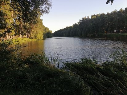 13сот. Київ, пуща-водиця Ідеально під дуплекс або будинок Продаж-обмін Горенка