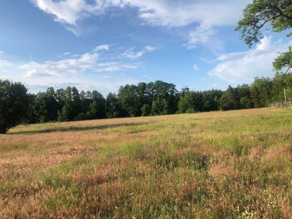 Продам участок 10 соток с. Горенка р-н Пуща-Водица