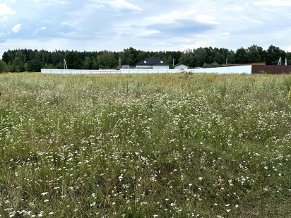 с. Горенка, продається зем. ділянка 10 сот. індивідуальне садівництво