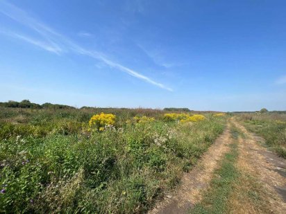 Продаж ділянки 1,0514 га ОСГ в с. Горенка біля "Ранчо-Родео".ID:168