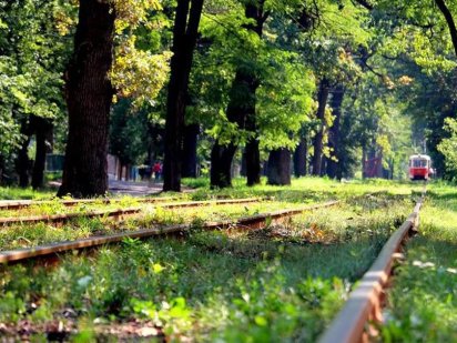 Продам старий будинок та земельну ділянку 0,16 га у Пущі -Водиці.