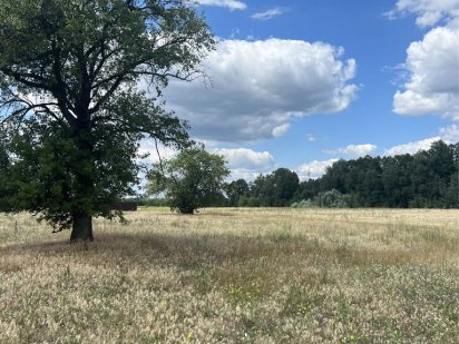 Свой участок Горенка 9 соток Горенка