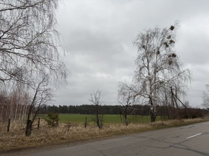 Земельна ділянка. 1.71га. Горбовичі