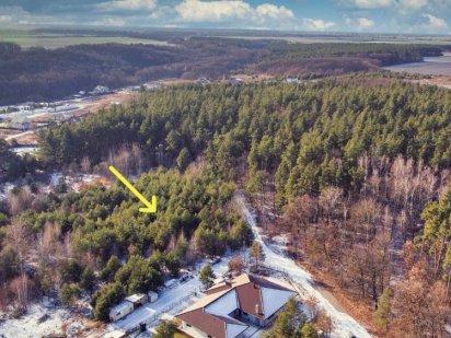 Ділянка в лісі