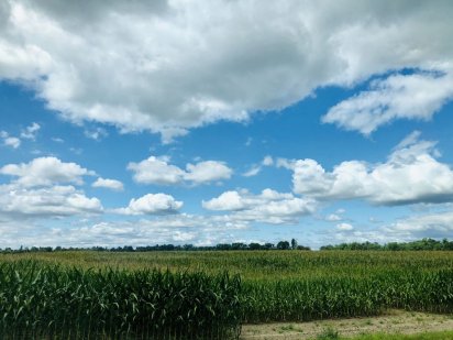 с.Гора . Продаж ділянок під будівництво.
