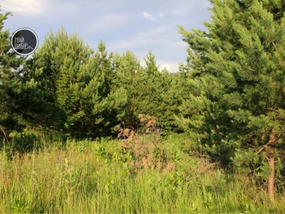 Продаж ділянки для будівництва в 10 хвилинах від міста. Горбовичі