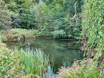 Продаж ділянки біля озера з виходом в ліс . Горбовичі