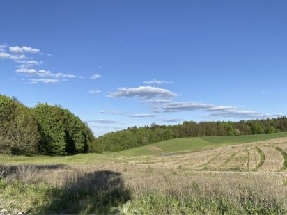 Горбовичі 440сот під будівництво з Електрикою 135Квт