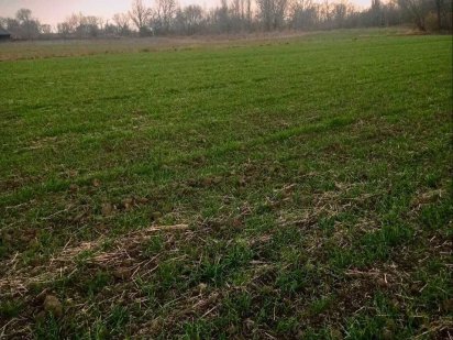 Продам земельну ділянку під забудову