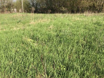 Продаж ділянки 19,73 соток