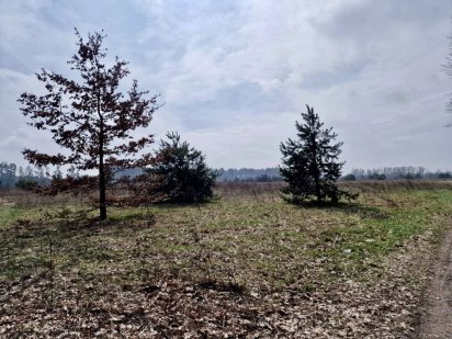 Дмитрівка 10 соток біля лісу