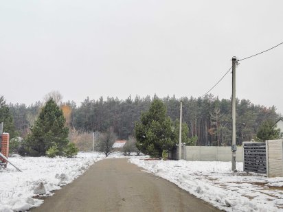 Куба, Дмитрівка Продаж ділянки з соснами 14 сот 2000 дол за сотку