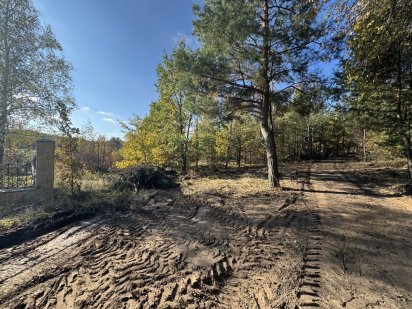 Земельный участок  40 и 60 сот Горбовичи, сосны, лес, МОЖНО ДРОБИТЬ