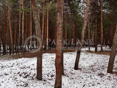 Ділянка участок 96 сот Дмитровка Дмитрівка Бучанский район Житомирская