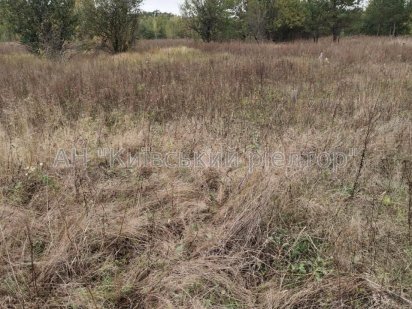 Продам ділянку під забудову у селі Дмитрівка Бучанського району.