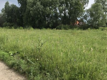 Земельна ділянка Дударків Дударків