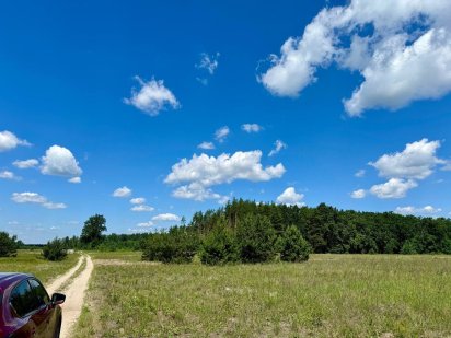 Дмитрівка. Земельна ділянка 10.28 під ЛІСОМ! Без Комісії.