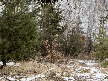 Дмитрівка центр , 14 соток під забудову