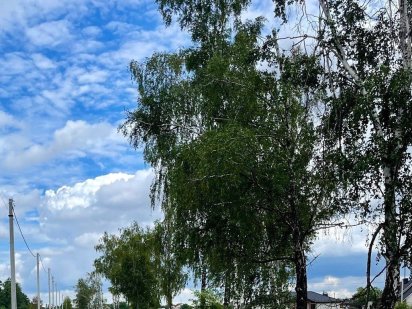 УГЛОВОЙ Участок под Строительство. Рядом Лес, Озеро, ЦЕНТР Села.