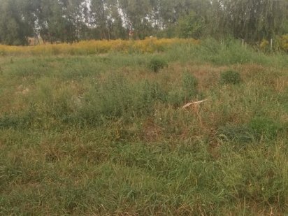 Продам земельну ділянку