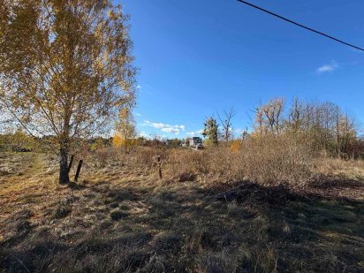 Продаж ділянки в с. Зазімье Киівська обл., під сільхозгосподарство. Зазимье