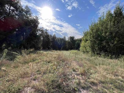 Продам Земельну ділянку  в Забуччі. Ціна 35 000$. КомунікаціЇ поруч.