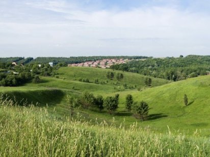 Під забудову! 2,5 га в мальовничому місці ІВАНКОВИЧІ!