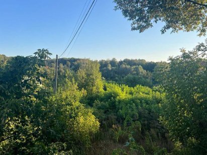 40 сот. центр села, гарний вид, всі комунікації Іванковичі