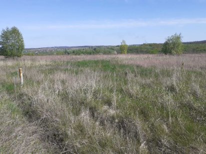 Ділянка 32.3 сотки ОСГ, Іванковичи,